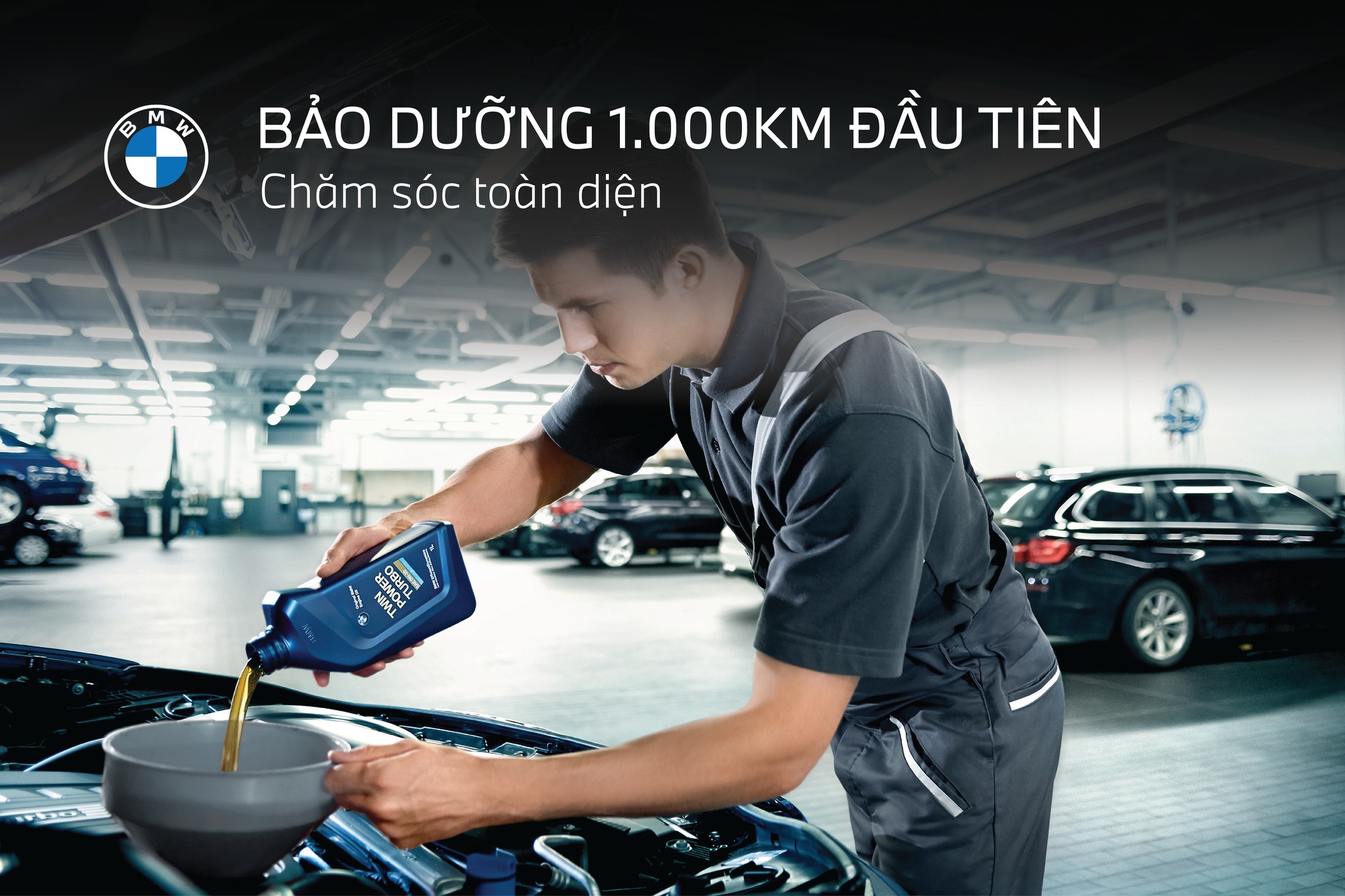 DV 1000KM