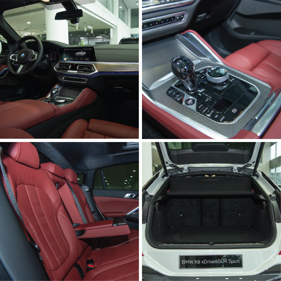 Website hình ảnh xe_BMW X6 Nội thất