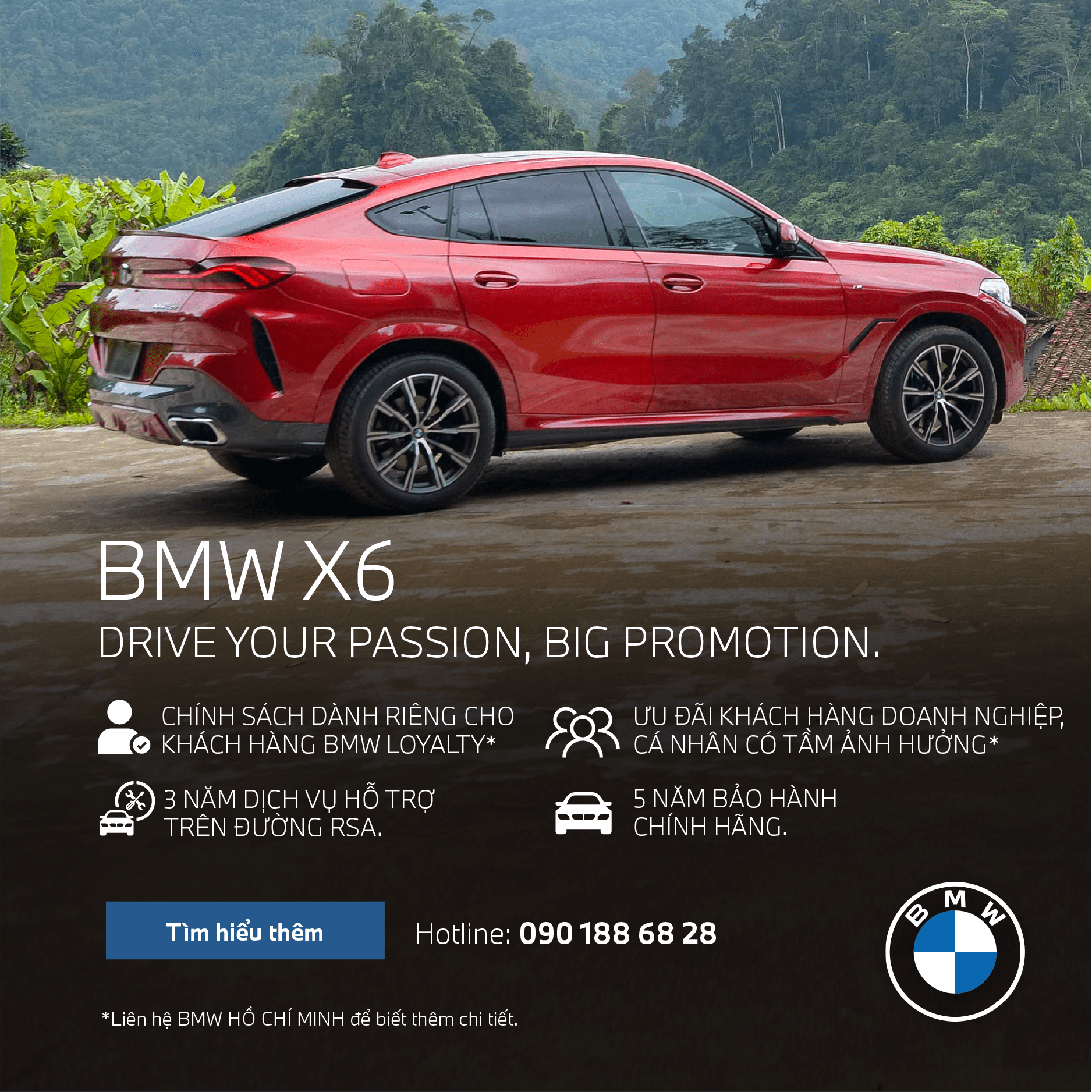 X6 -min
